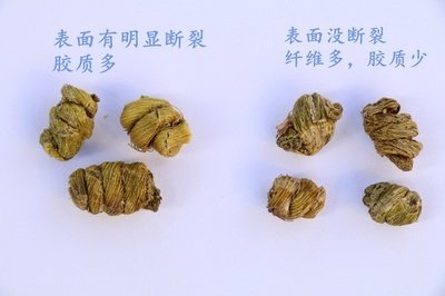 石斛入药的功效