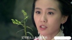 揭秘《女医明妃传》中“铁皮石斛”的真实功效