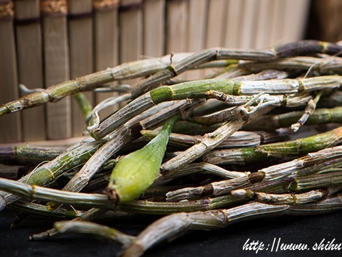 铁皮石斛是秋季养生的必备