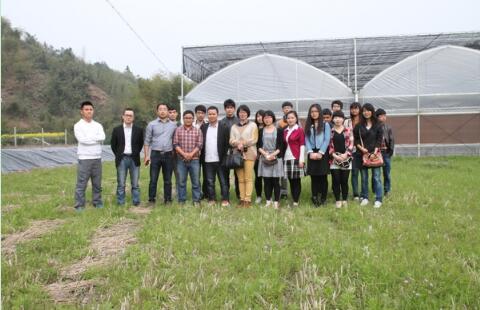 广西种植铁皮石斛基地有哪些